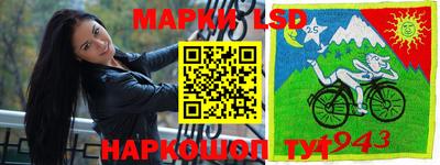 гашик Пенза