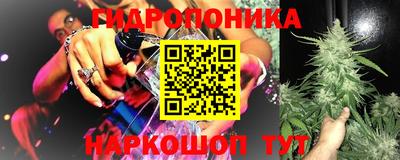 гашик Пенза